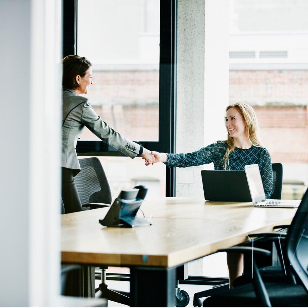 Colleagues Shaking Hands Retina